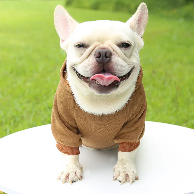 Citrus Cozy™ Fleece Dog Hoodie