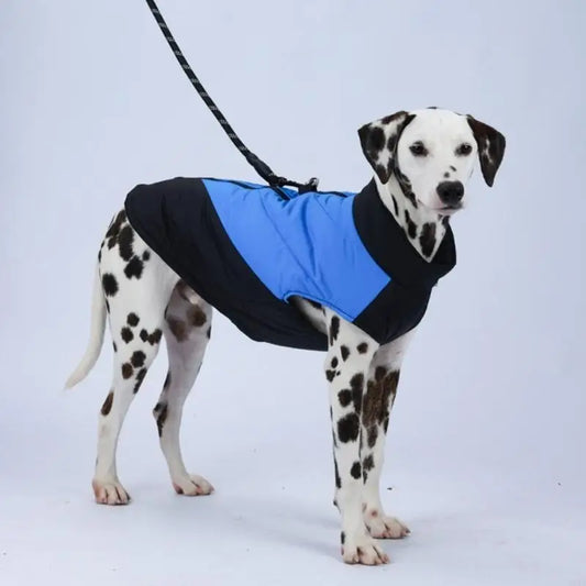ActiveGuard™ Lightweight Dog Jacket with Leash Attachment