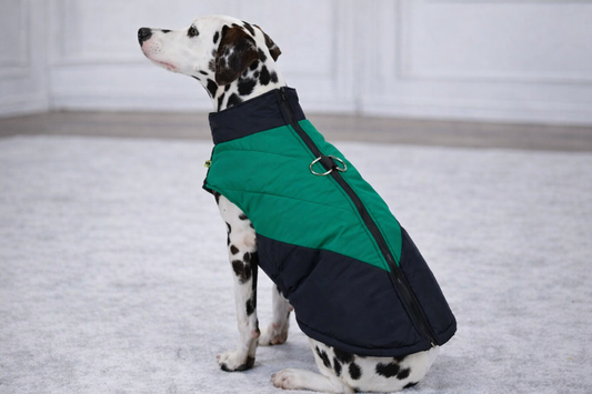ActiveGuard™ Lightweight Dog Jacket with Leash Attachment