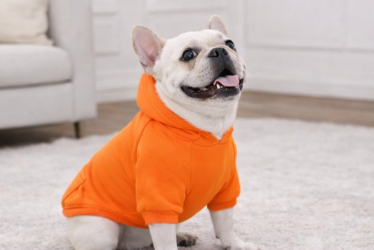 Citrus Cozy™  Fleece Dog Hoodie
